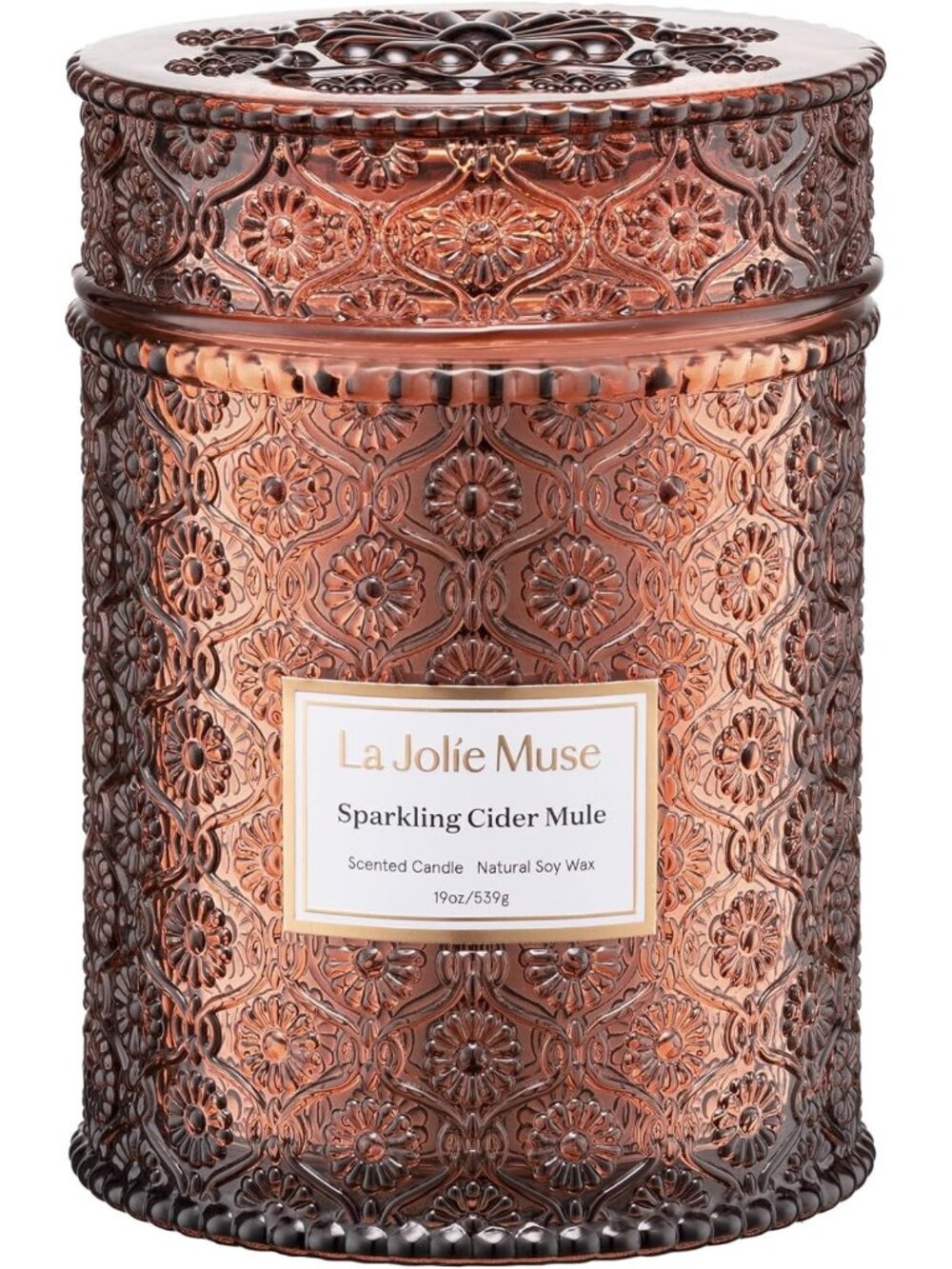 Sparkling Cider Mule Scented Candle - 19oz Soy Wax for Cozy Home Decor